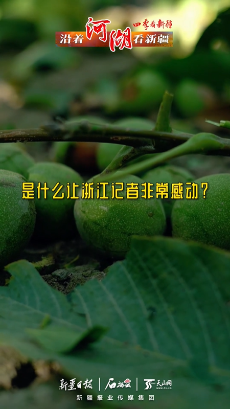 沿著河湖看新疆丨是什么讓浙江記者非常感動(dòng)？