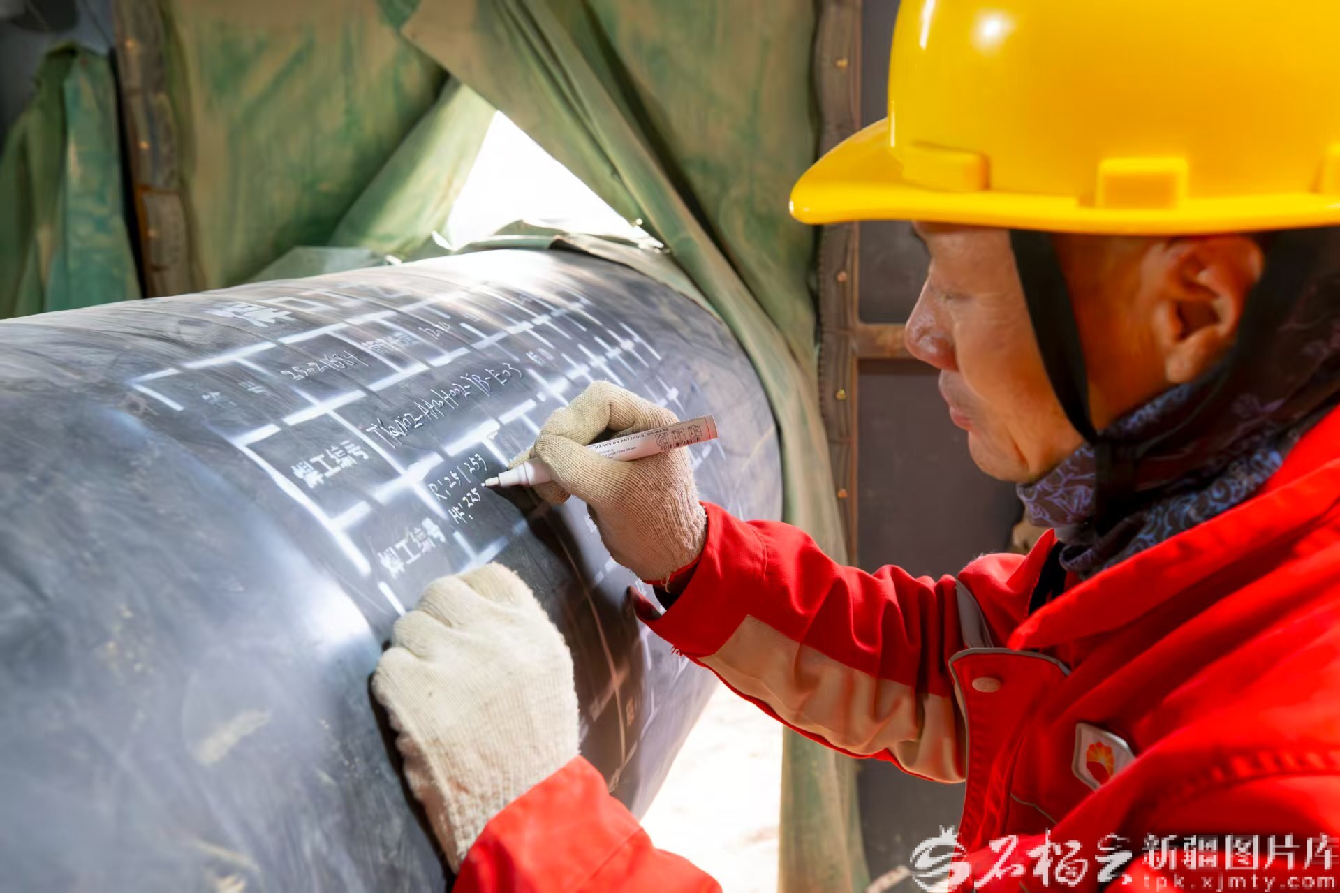 mmexport1764469521676