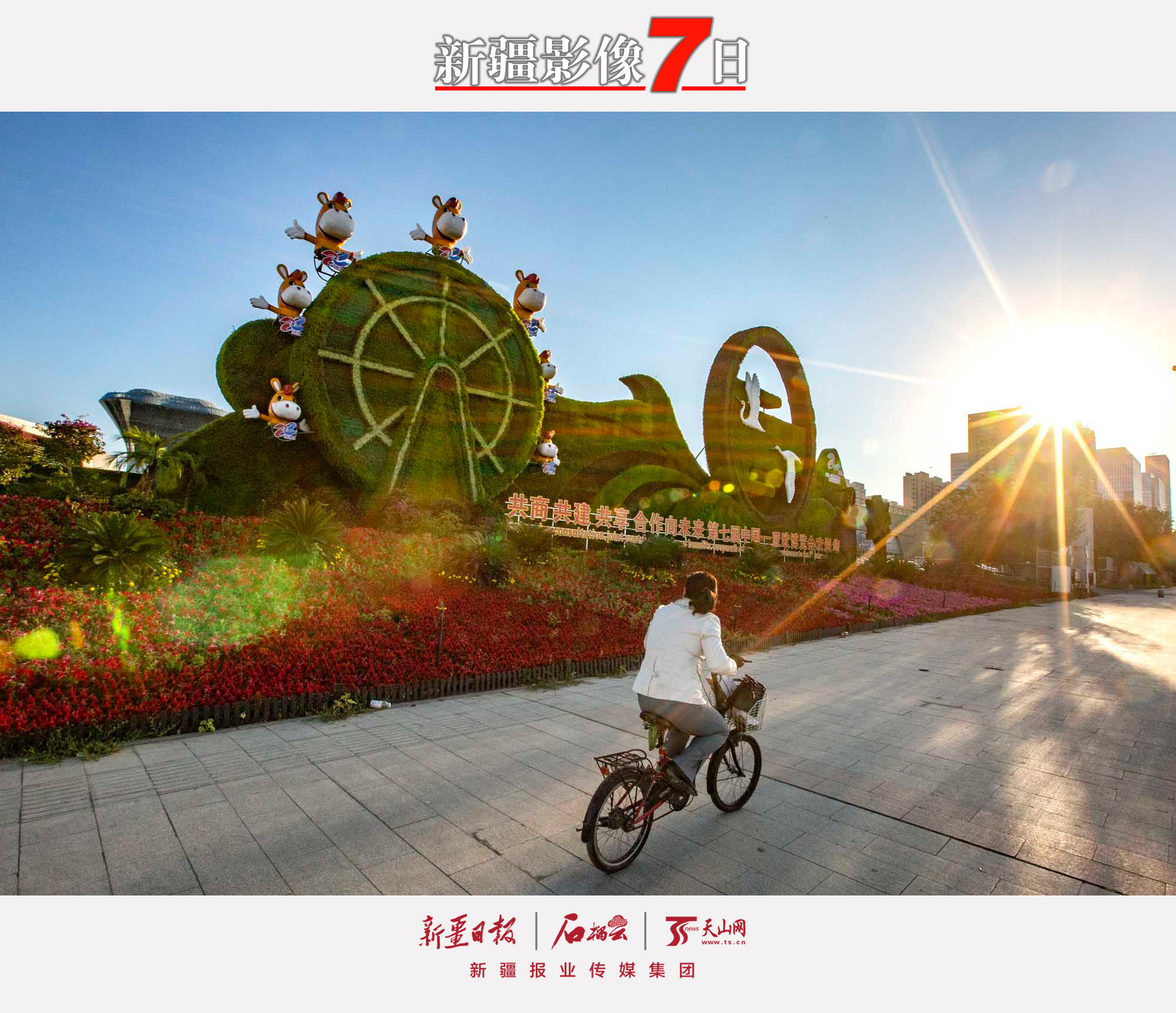 9月15日，一位市民騎車(chē)從烏魯木齊市紅光山路邊的第七屆中國(guó)—亞歐博覽會(huì)主題花壇旁駛過(guò)。 隨著第七屆中國(guó)—亞歐博覽會(huì)的臨近，烏魯木齊市100多組主題花壇相繼擺放到位，大街小巷花團(tuán)錦簇。石榴云/新疆日?qǐng)?bào)記者蔡增樂(lè)攝