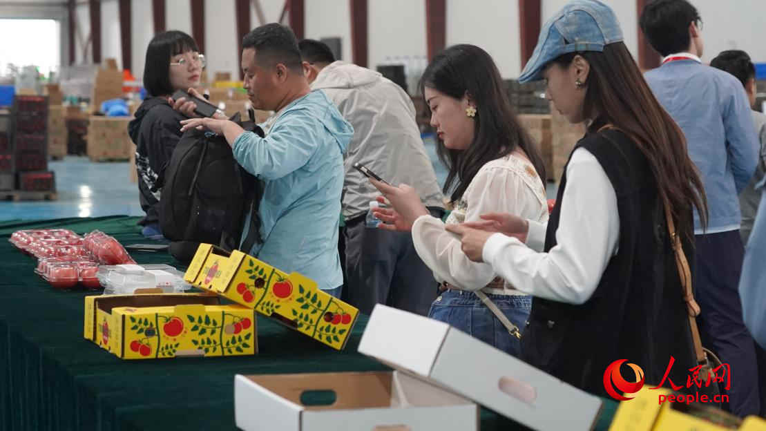 參加活動的正能量網(wǎng)絡(luò)名人代表正在拍攝展示的番茄產(chǎn)品。人民網(wǎng) 李龍攝