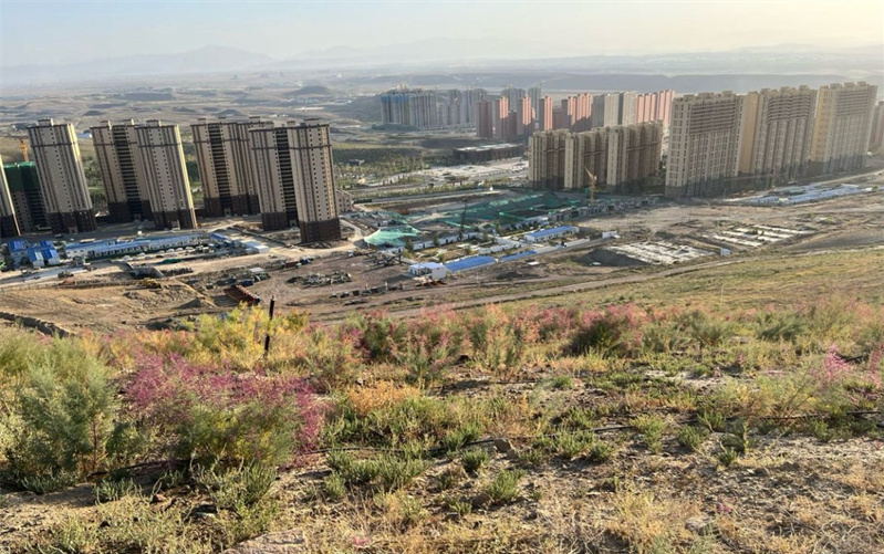 烏魯木齊大泉湖煤田火區(qū)治理后，地表植被得以恢復(fù)。新疆應(yīng)急管理廳供圖