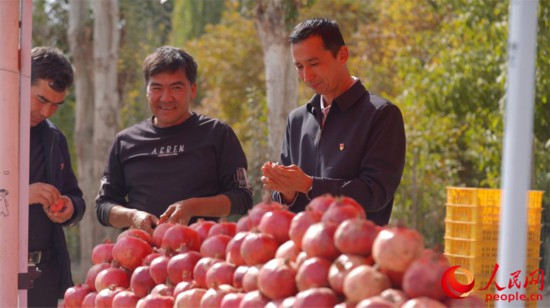 村民正在沿街售賣(mài)新鮮采摘的石榴。人民網(wǎng) 李欣洋攝